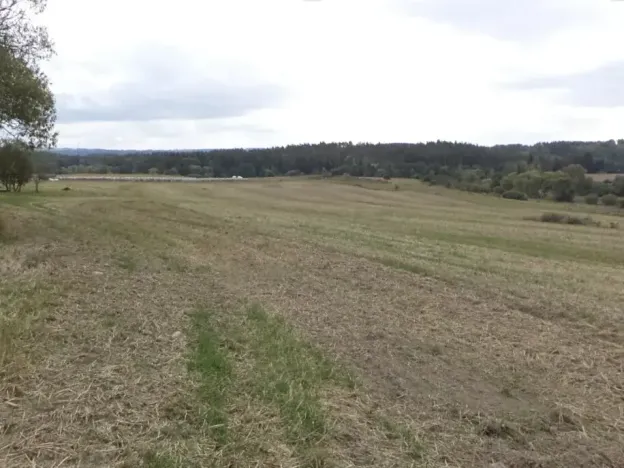 Dražba pole, Tachov, 842 m2