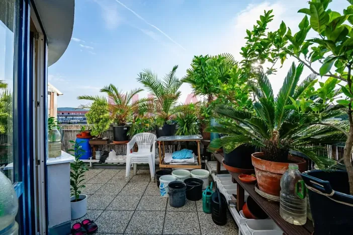 Prodej bytu 2+1, Písek, Čechova, 66 m2