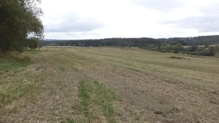 Prodej pole, Tachov, 842 m2