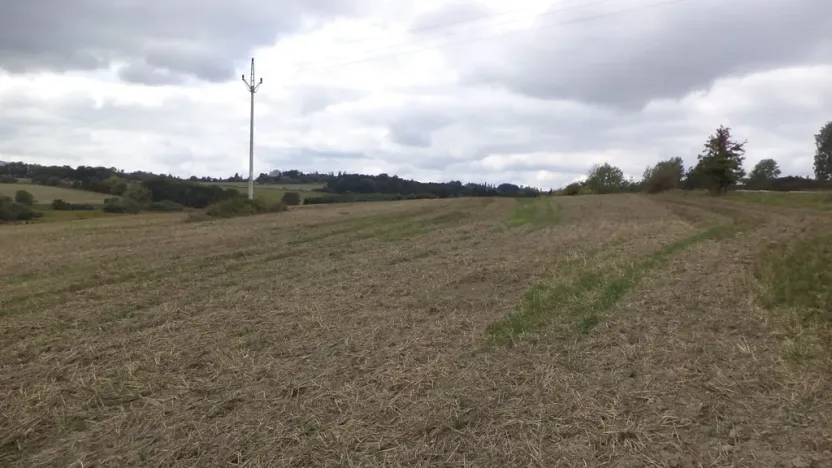Prodej pole, Tachov, 842 m2
