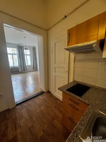 Pronájem bytu 1+kk, Praha - Vinohrady, Řipská, 46 m2