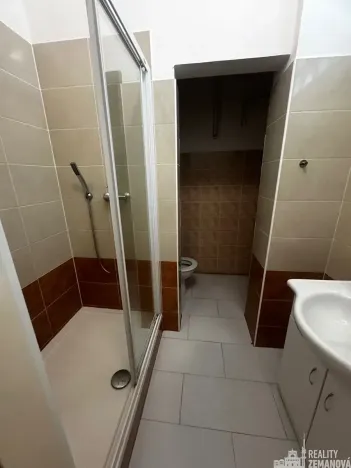 Pronájem bytu 1+kk, Praha - Vinohrady, Řipská, 46 m2