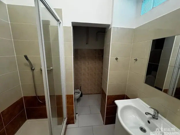 Pronájem bytu 1+kk, Praha - Vinohrady, Řipská, 46 m2