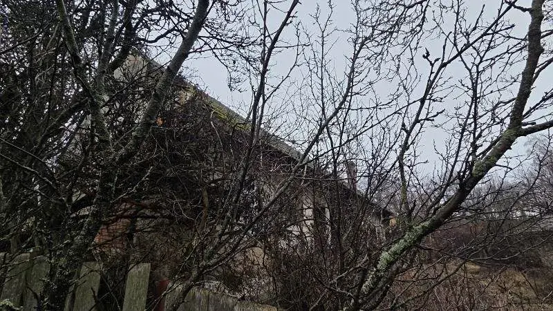 Prodej zemědělské usedlosti, Křižanov, 371 m2