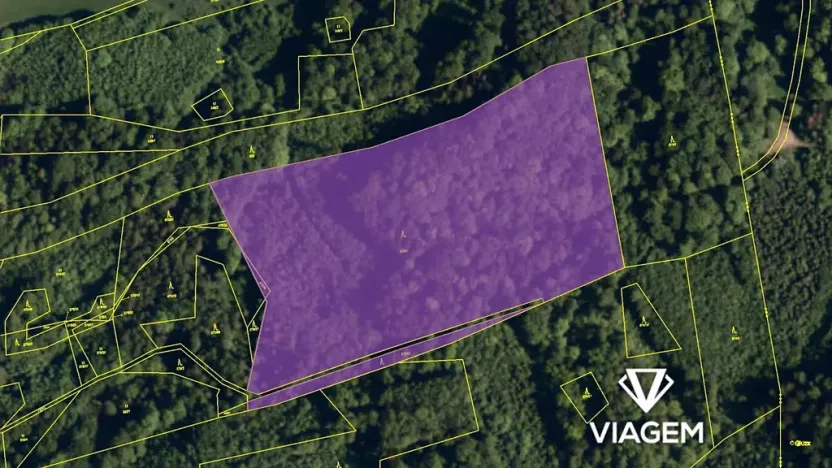 Prodej podílu lesa, Životice u Nového Jičína, 5078 m2