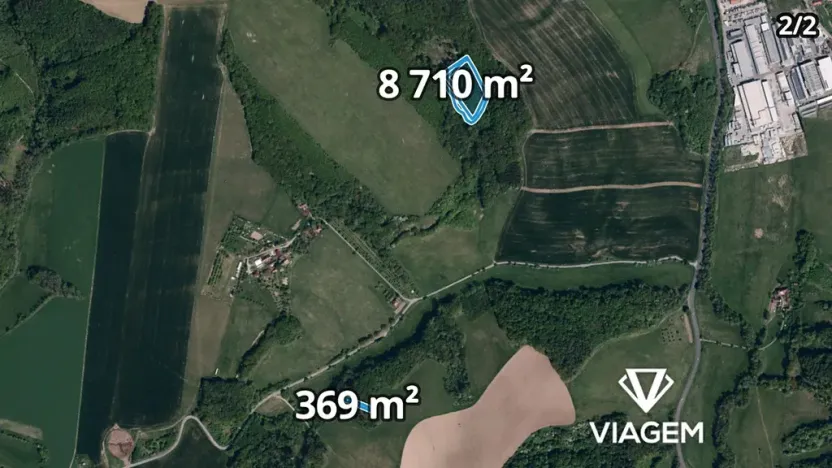 Prodej podílu lesa, Kaňovice, 4655 m2