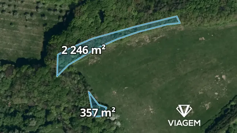 Prodej podílu lesa, Bohuslavice nad Vláří, 1301 m2