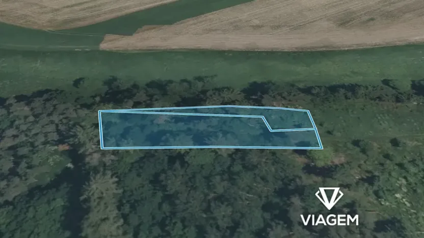 Prodej lesa, Sepekov, 1300 m2