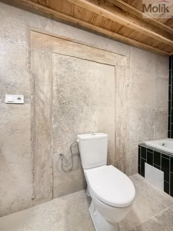 Pronájem atypického bytu, Osek, Tovární, 135 m2