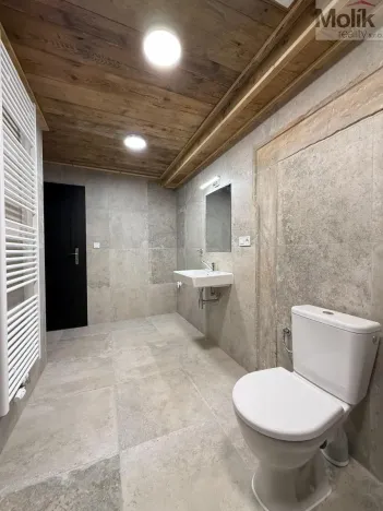 Pronájem atypického bytu, Osek, Tovární, 135 m2