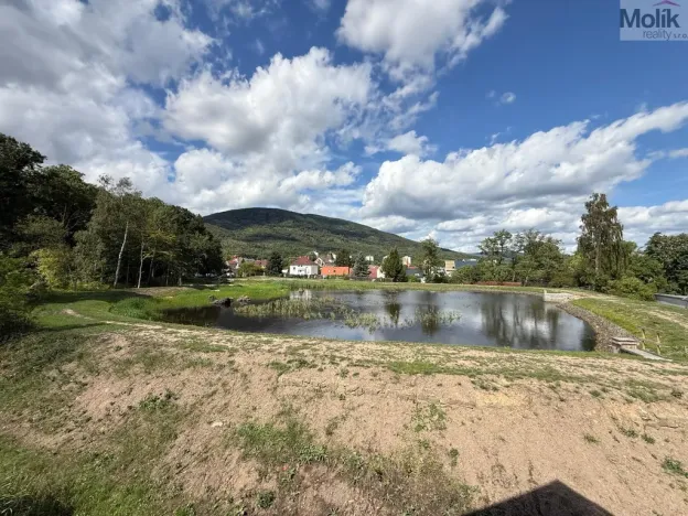 Pronájem atypického bytu, Osek, Tovární, 135 m2