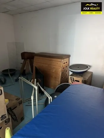 Pronájem obchodního prostoru, Opava, Jaselská, 300 m2