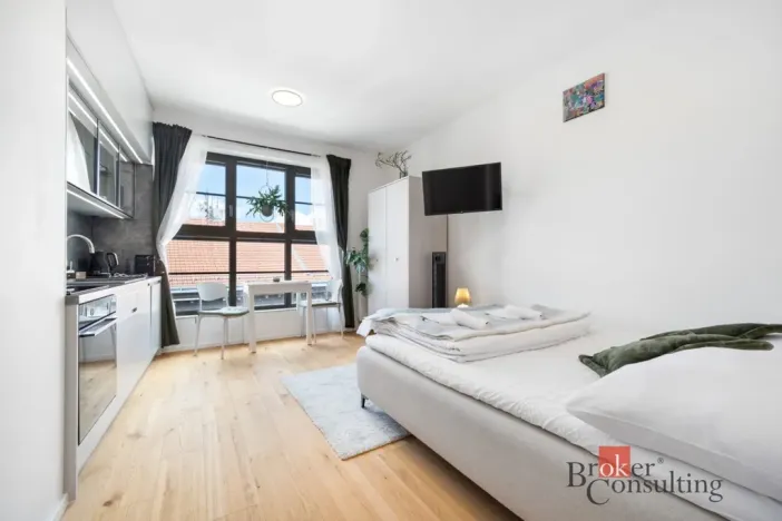 Prodej bytu 1+kk, Brno - Zábrdovice, Bratislavská, 24 m2