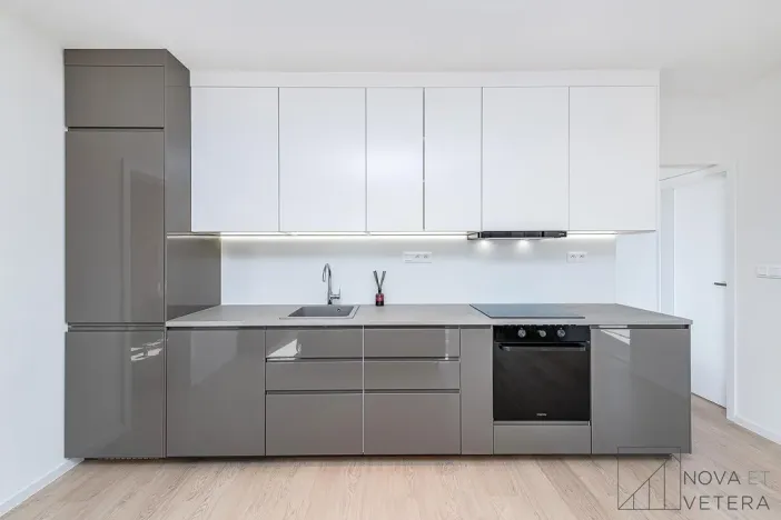 Prodej bytu 3+kk, Praha - Vinohrady, Nad olšinami, 62 m2