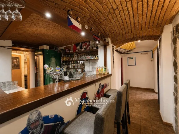 Prodej obchodního prostoru, Znojmo, Havlíčkova, 95 m2
