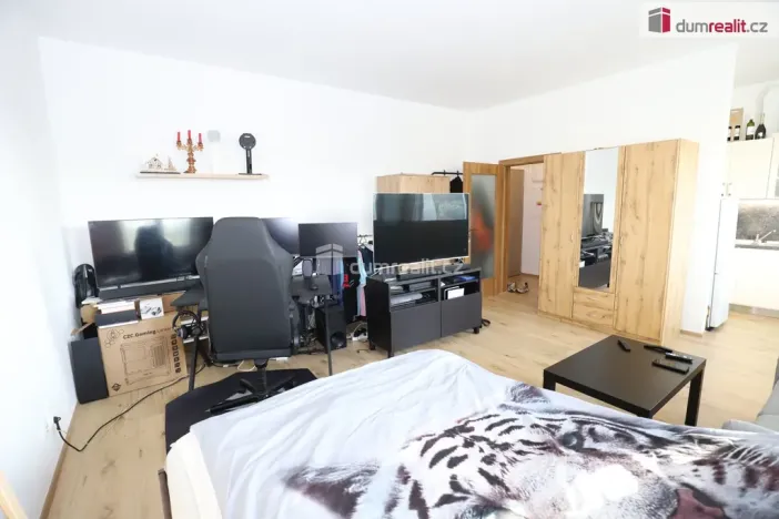 Pronájem bytu 1+1, Mariánské Lázně - Úšovice, Tepelská, 40 m2