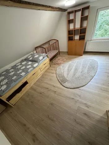 Prodej chalupy, Desná, Krkonošská, 380 m2