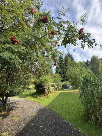 Prodej chalupy, Desná, Krkonošská, 380 m2