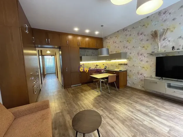 Pronájem bytu 1+kk, Praha - Vinohrady, Jana Masaryka, 52 m2