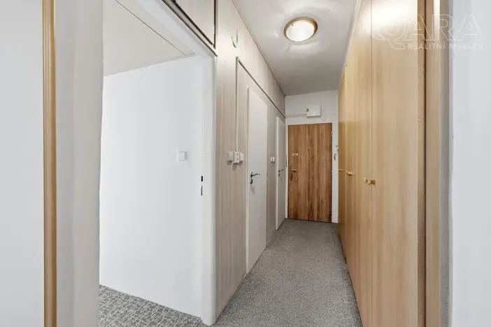 Prodej bytu 2+1, Vyškov - Vyškov-Předměstí, Hybešova, 55 m2