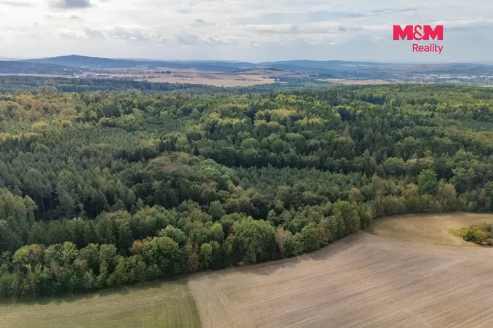 Prodej lesa, Plzeň - Červený Hrádek, 6522 m2