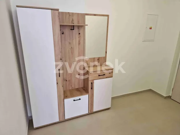 Pronájem bytu 2+kk, Uherské Hradiště, Zahrádky, 50 m2