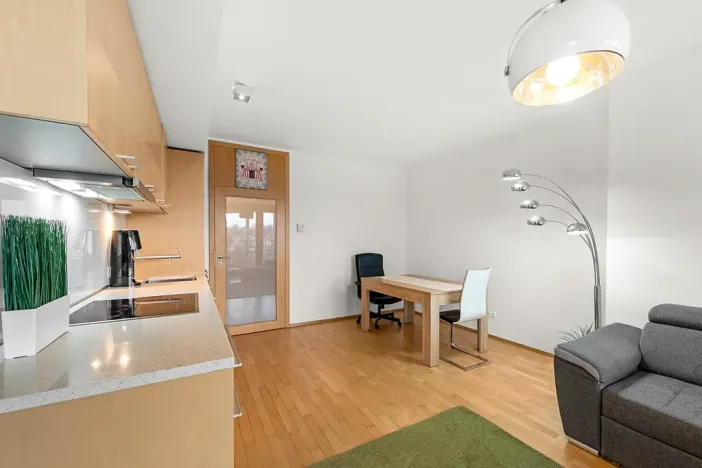 Prodej bytu 2+kk, Praha - Žižkov, Pitterova, 52 m2