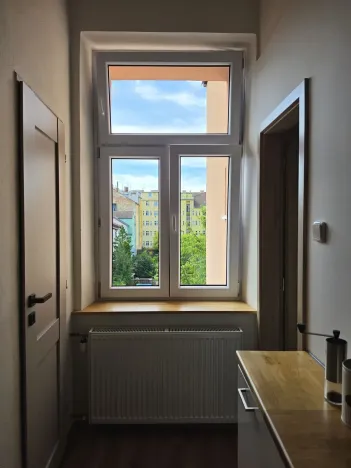 Pronájem bytu 2+1, Plzeň, Dvořákova, 68 m2