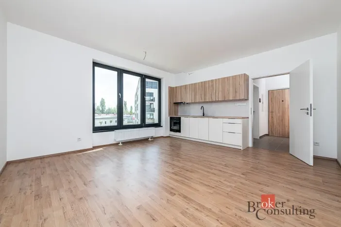 Pronájem bytu 1+kk, Plzeň - Jižní Předměstí, Železná, 38 m2
