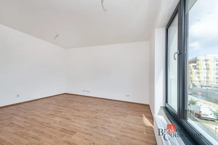 Pronájem bytu 1+kk, Plzeň - Jižní Předměstí, Železná, 38 m2