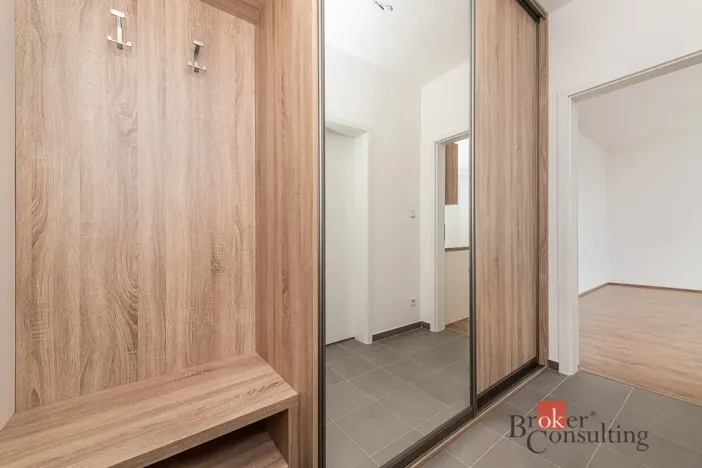 Pronájem bytu 1+kk, Plzeň - Jižní Předměstí, Železná, 38 m2