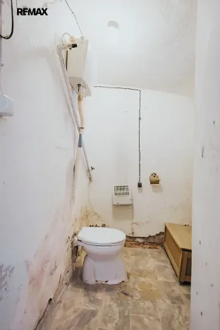 Prodej rodinného domu, Dlouhá Loučka, 192 m2