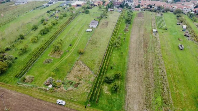 Prodej sadu/vinice, Týnec, Náves, 1237 m2