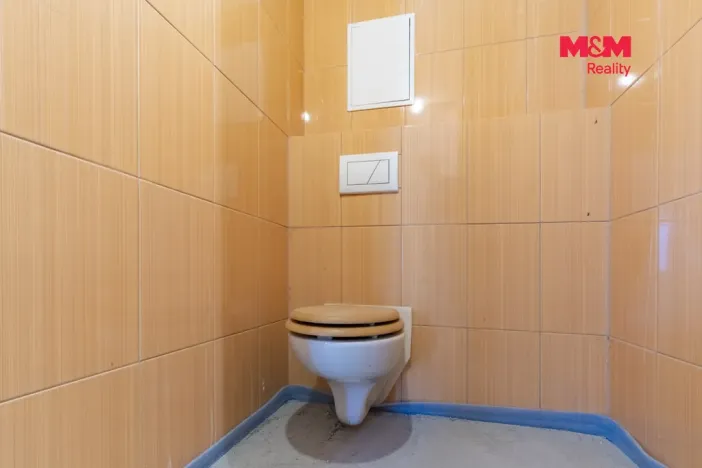 Prodej rodinného domu, Mnichov, 160 m2