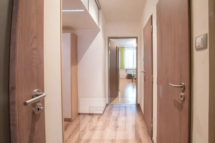 Pronájem bytu 3+kk, Plzeň, Francouzská třída, 52 m2