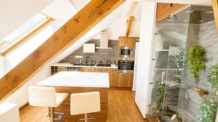 Pronájem bytu 2+kk, Plzeň - Východní Předměstí, Francouzská třída, 50 m2