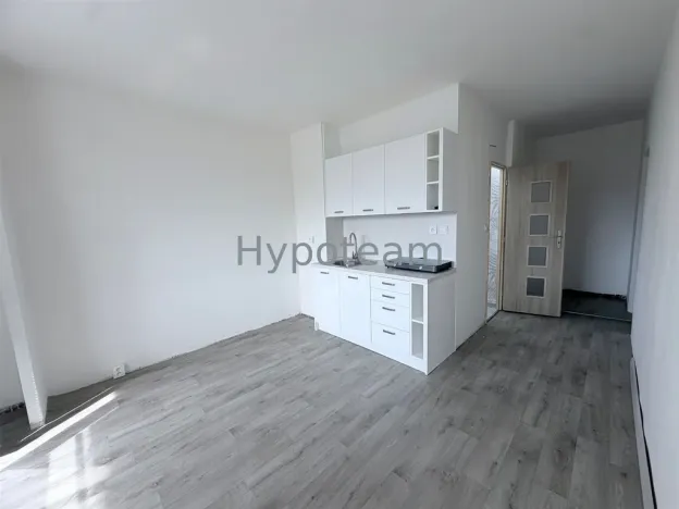 Pronájem bytu 1+1, Ústí nad Labem - Neštěmice, Sibiřská, 42 m2