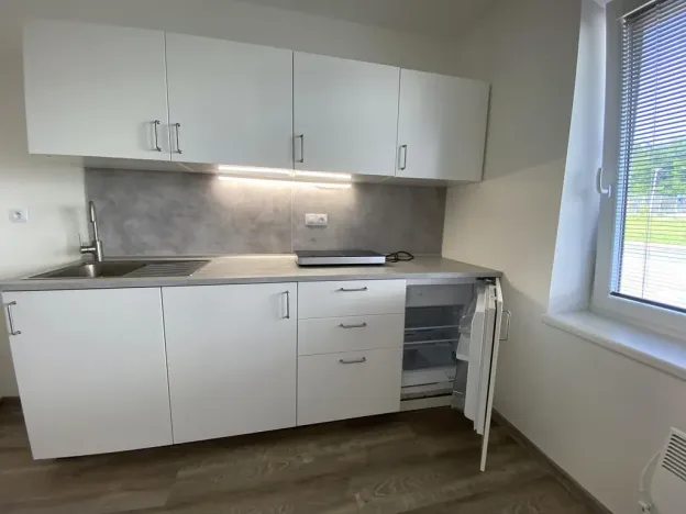 Pronájem bytu 1+kk, Brno - Maloměřice, Hády, 18 m2