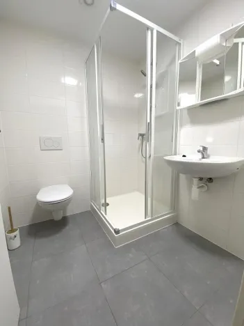 Pronájem bytu 1+kk, Brno - Maloměřice, Hády, 18 m2