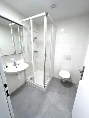 Pronájem bytu 1+kk, Brno - Maloměřice, Hády, 18 m2