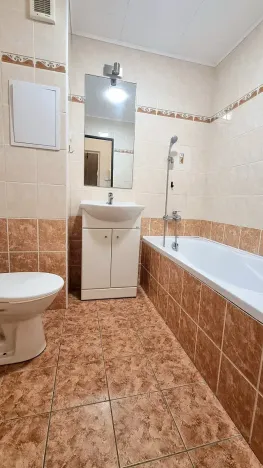 Pronájem bytu 1+1, Bílina, Aléská, 36 m2