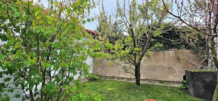 Pronájem bytu 2+kk, Brno, Berkova, 45 m2