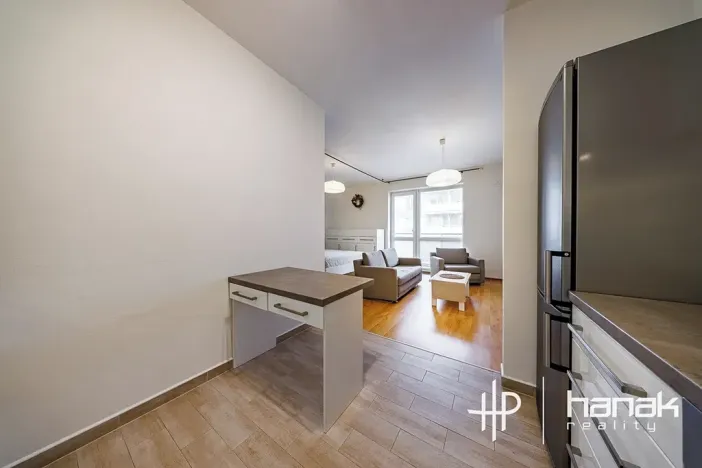 Pronájem bytu 1+kk, Olomouc, Mošnerova, 42 m2