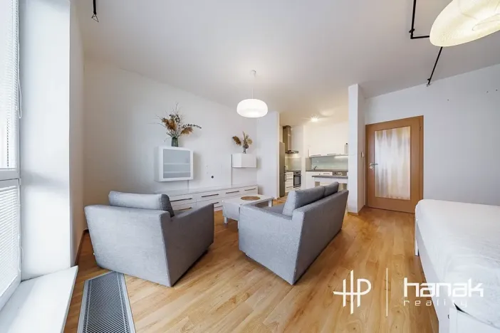 Pronájem bytu 1+kk, Olomouc, Mošnerova, 42 m2