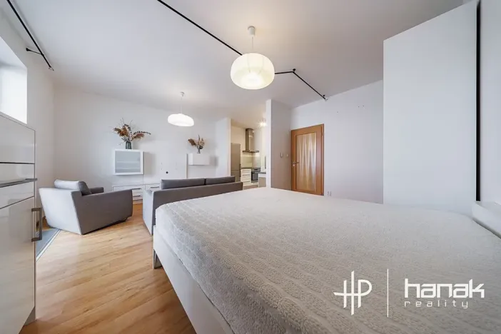 Pronájem bytu 1+kk, Olomouc, Mošnerova, 42 m2