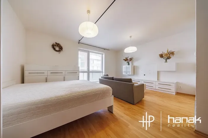 Pronájem bytu 1+kk, Olomouc, Mošnerova, 42 m2