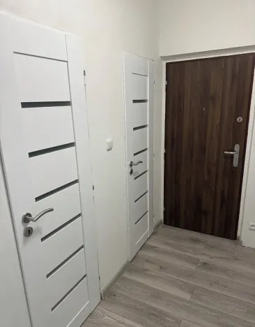 Pronájem bytu 2+1, Chodov, Revoluční, 60 m2