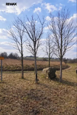 Prodej pole, Číčovice, 6121 m2