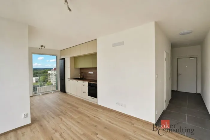 Pronájem bytu 2+kk, Plzeň - Bolevec, Krašovská, 52 m2
