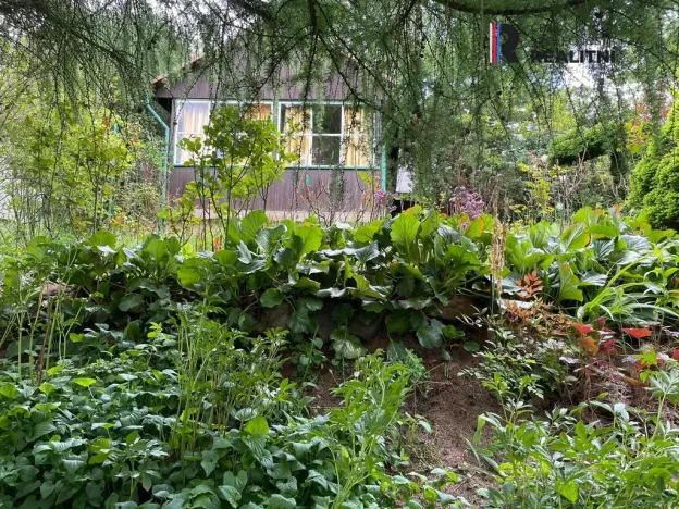 Prodej chaty, Liberec, Úvozní, 25 m2